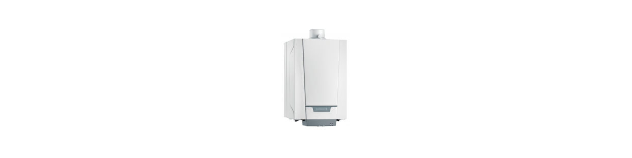 DHW And Economic Gas Water Heaters | Climaled